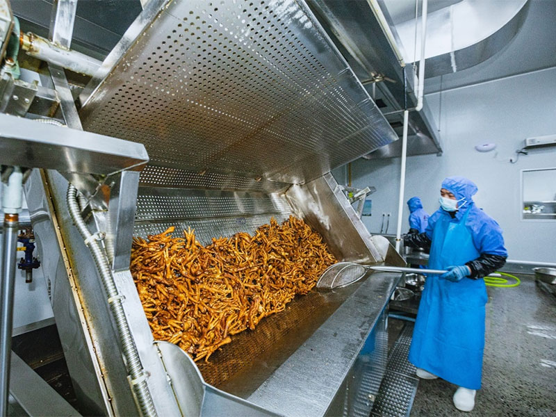 Liuzhou Baisheng Food Co., Ltd.
