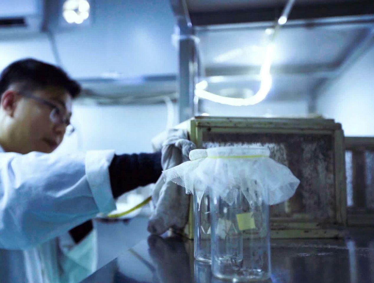 Huali Recognized as Guangxi Zhuang Autonomous Region Enterprise Technology Center, Innovation and R&D Strength Receives Provincial-Level Authoritative Recognition