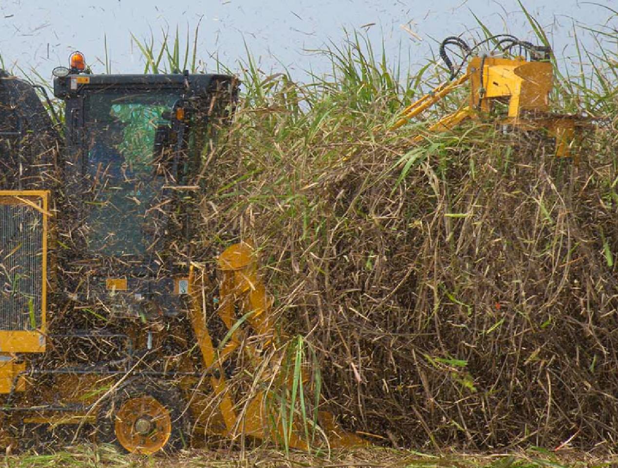 Choosing High-Quality Forage Harvester Blades: The Key to Enhancing Forage Harvester Performance