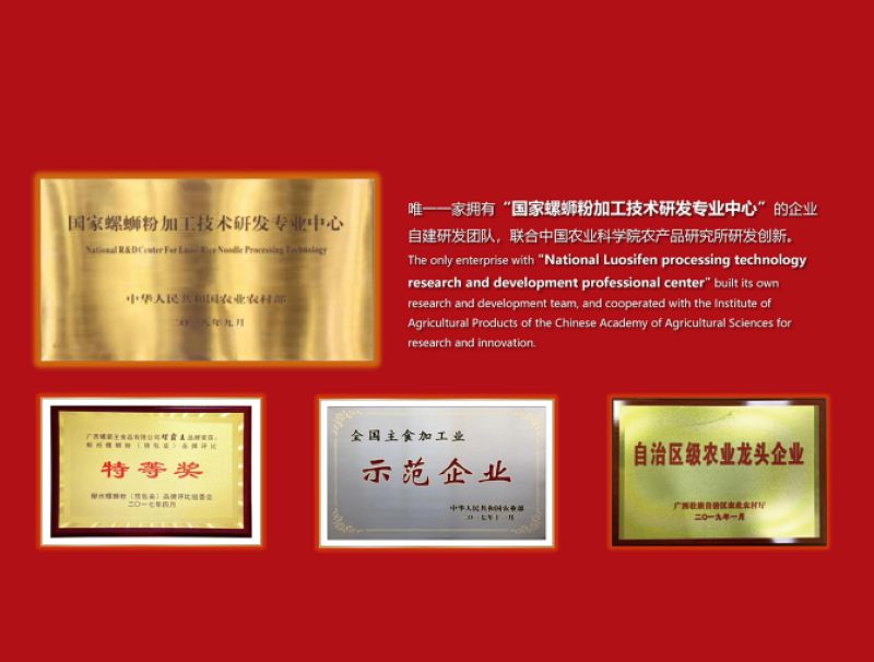 Luobawang Luosifen: The Only Enterprise with National R&D Center, Leading the Industry with Innovation