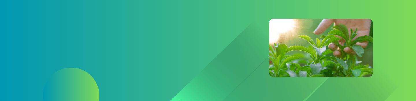 News & Insights Header
