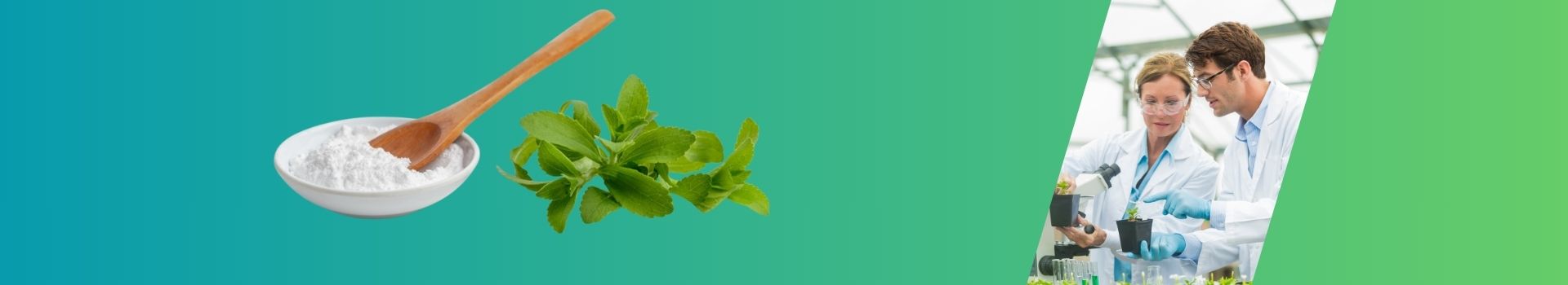 Page Header