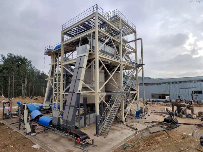 Wood Chip Washing Equipment