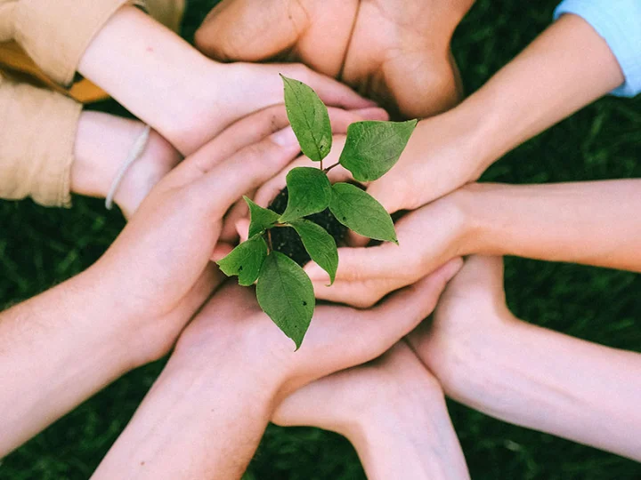 Our sustainability commitment