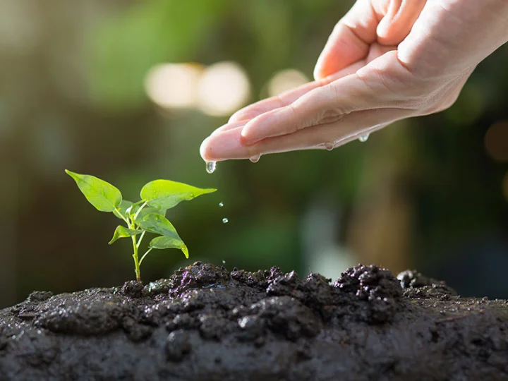 Sustainability is embedded in our DNA