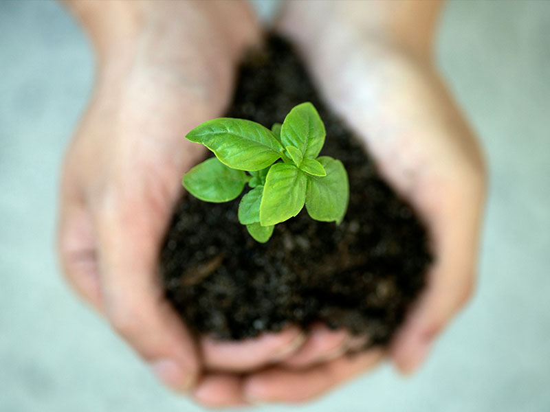 Sustainability