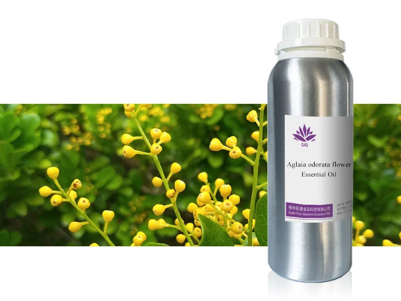 Aglaia Odorata Oil main image