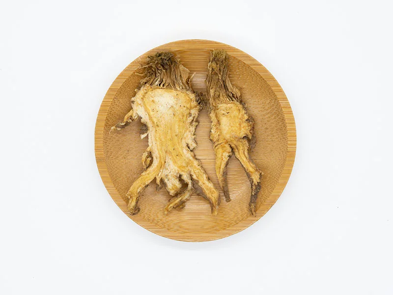 Angelica Essential Oil