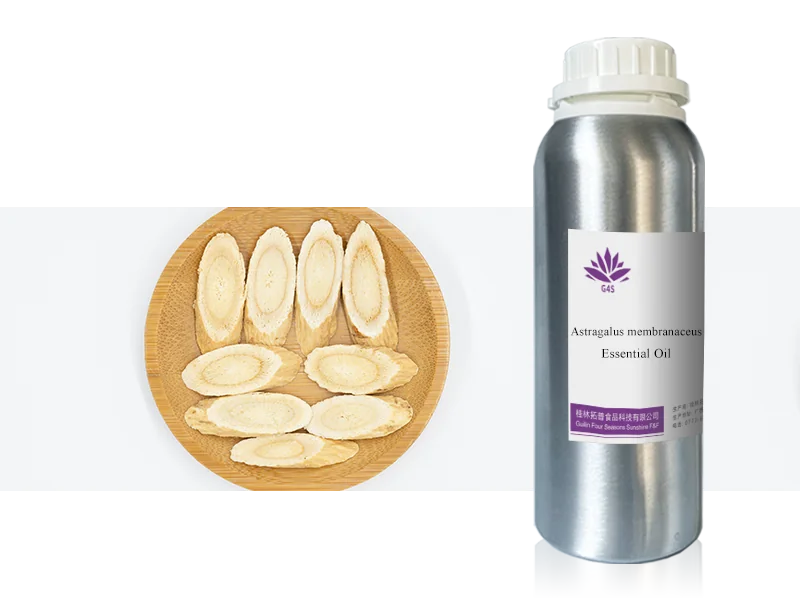 Astragalus Root Oil main image