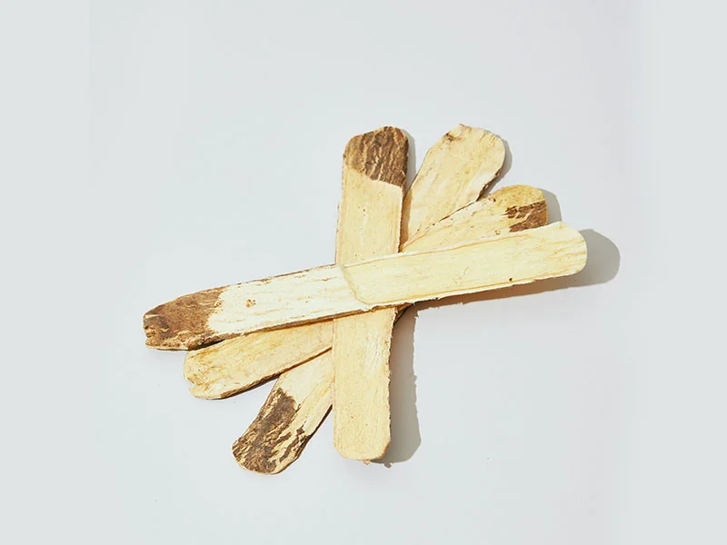 Astragalus membranaceus Essential Oil detail 2