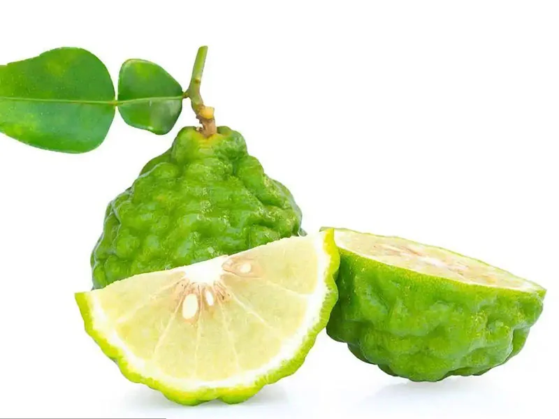 Bergamot Oil detail
