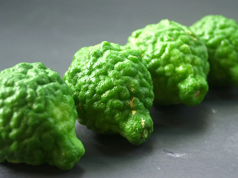 Bergamot Oil detail 3