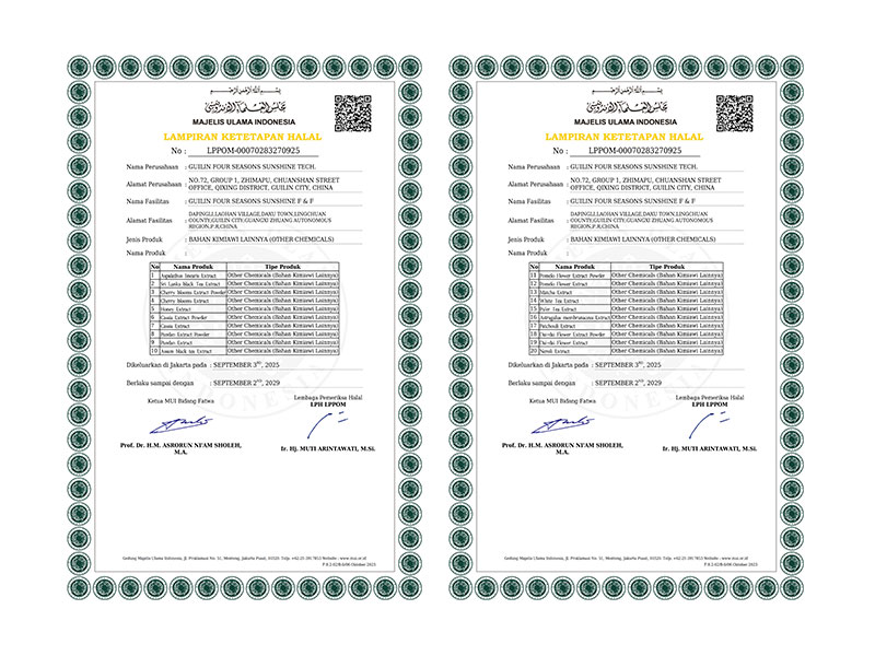 The Entry Ticket to a Muslim Market of 230 Million People