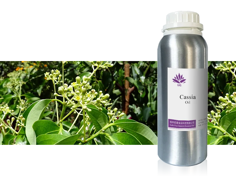 Cinnamon Bark Oil main image