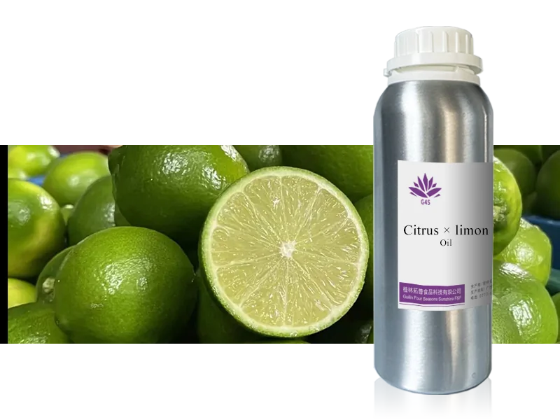 Citrus × limon Oil main image
