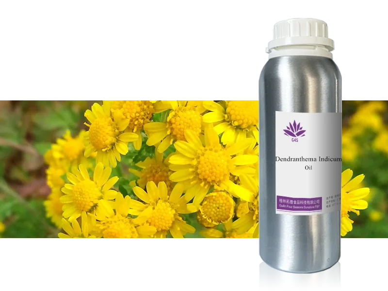Shennong Chrysanthemum Oil main image