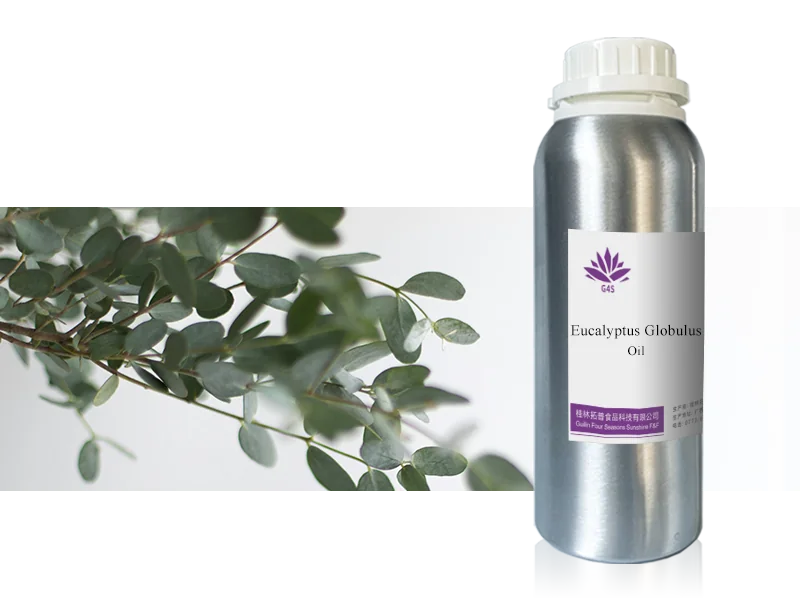 Eucalyptus Leaf Oil main image