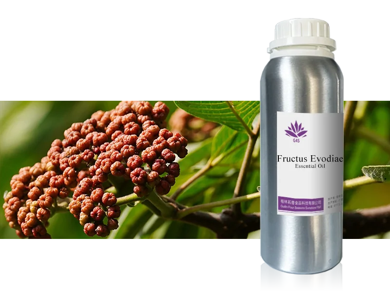 Evodia Fruit Oil main image