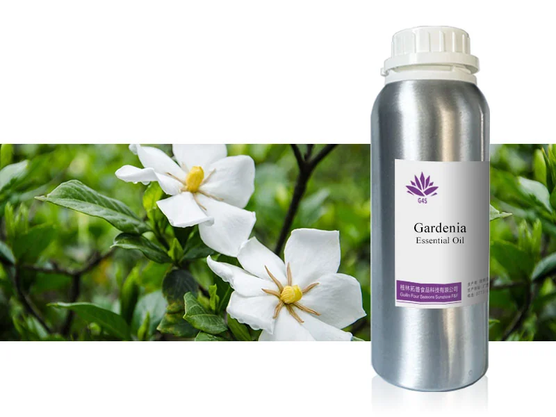 Gardenia Essential Oil main image