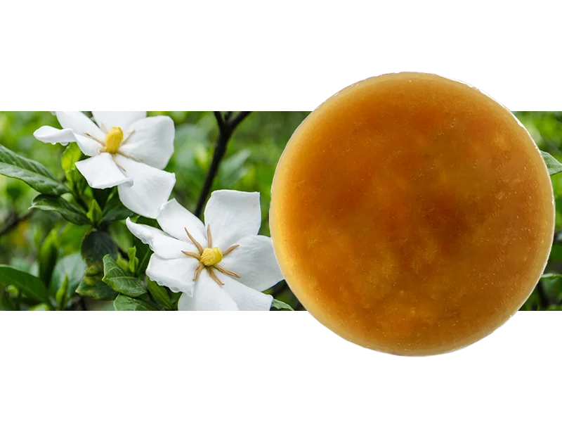 Gardenia Flower Wax main image