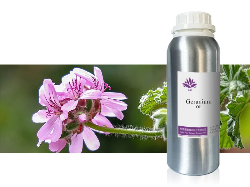 Geranium Oil main image