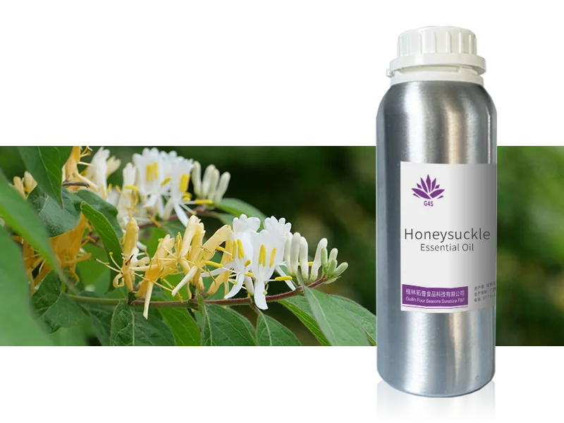 Honeysuckle Essential Oil main image