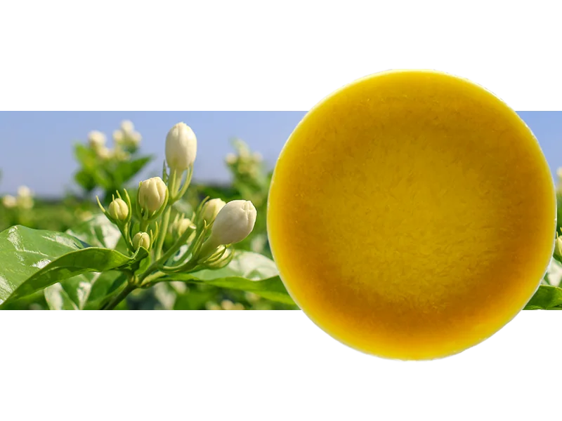 Jasmine Flower Wax main image