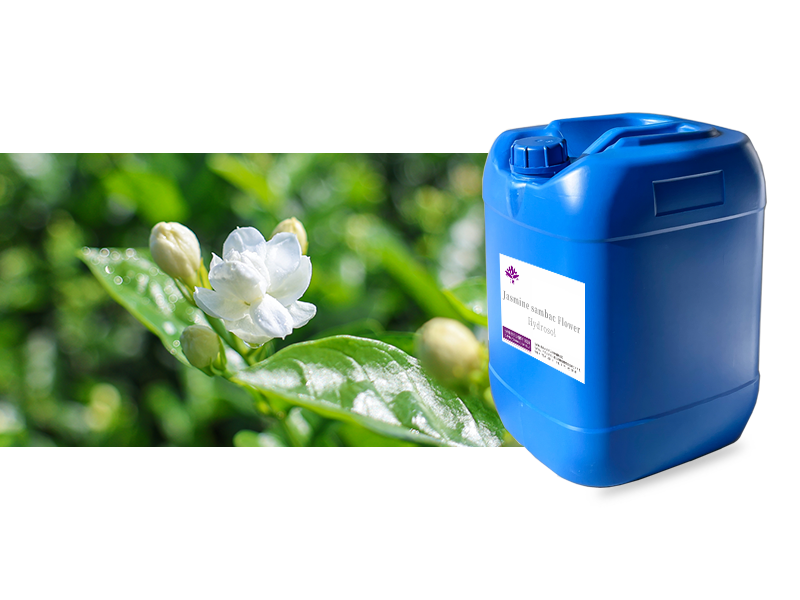 Jasmine Sambac Hydrosol main image