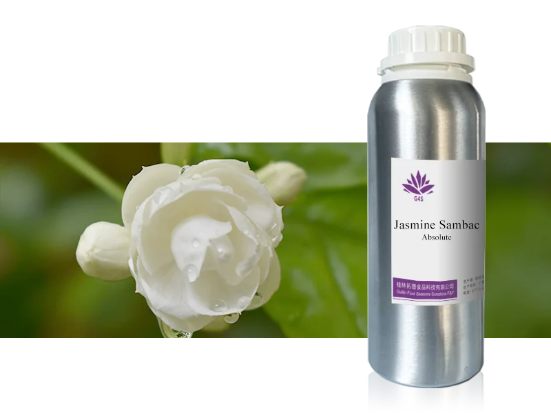 Jasmine Sambac Tea Flower Absolute main image