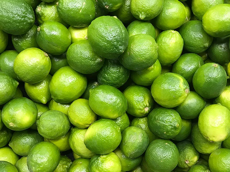 Lime Oil detail 2