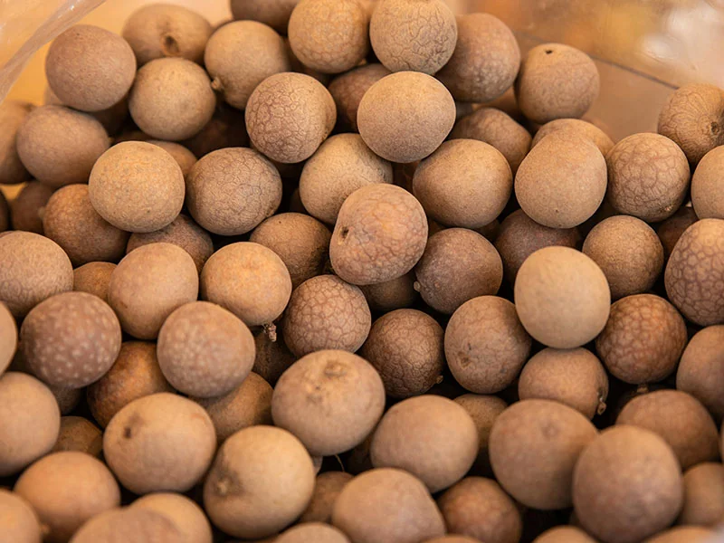 Longan Concrete detail 2
