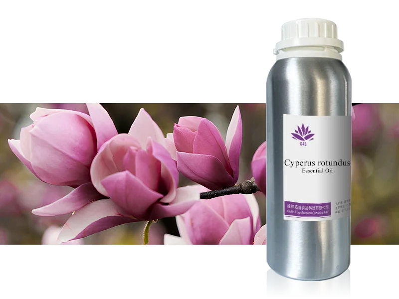 Magnolia Flower Bud Oil main image