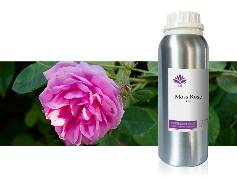 Moss Rose Oil main image