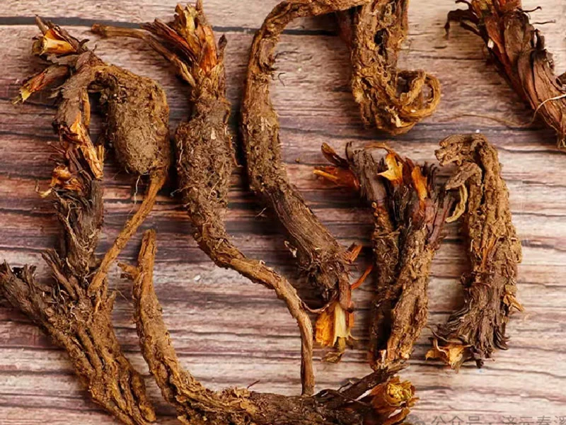 Nardostachys Spikenard Oil detail