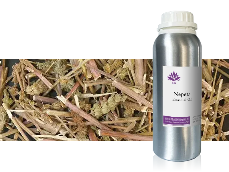 Nepeta Oil main image