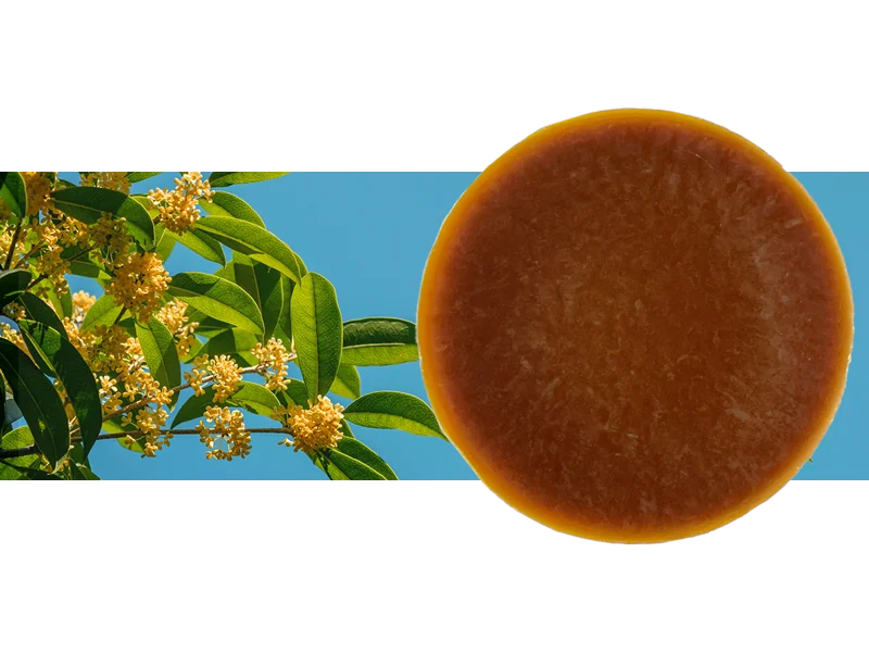 Osmanthus Flower Wax main image