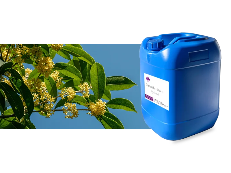 Osmanthus Hydrosol main image