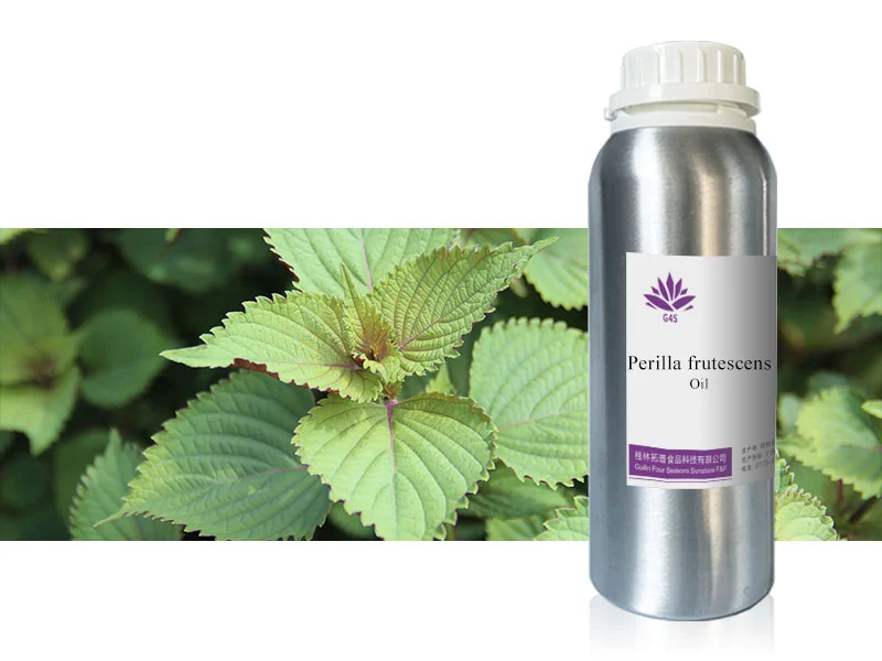 Perilla Leaf Oil main image