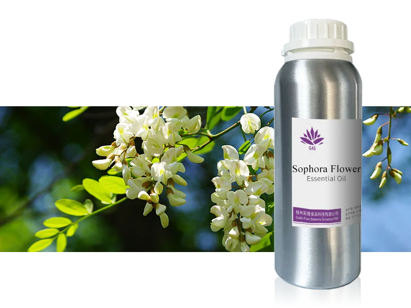 Sophora Flower Oil main image