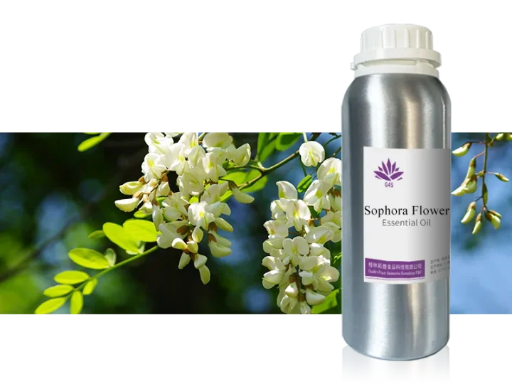 Sophora Flower Oil main image