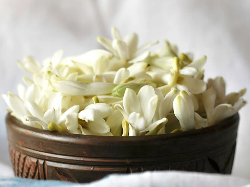 Tuberose Flower Oil detail