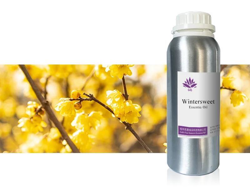 Wintersweet Essential Oil main image