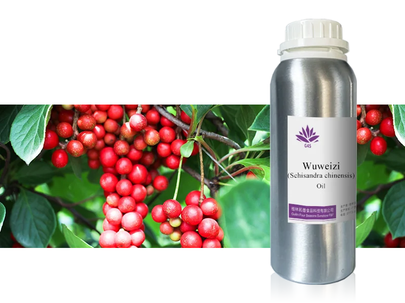 Schisandra Berry Oil main image