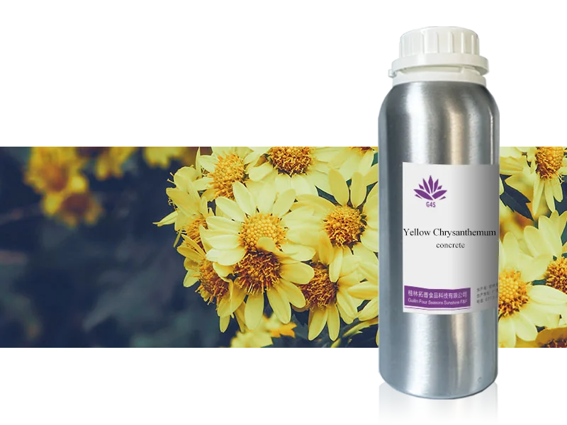 Yellow Chrysanthemum Concrete main image