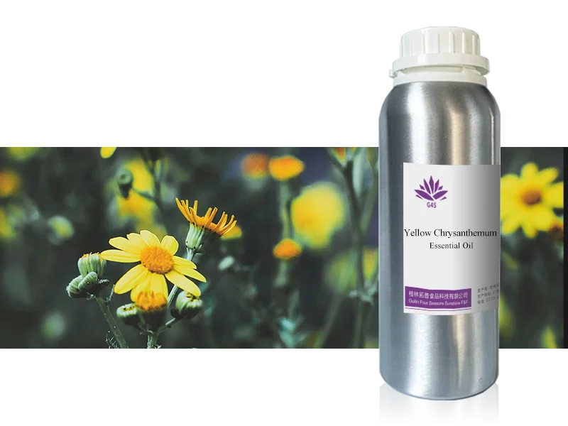 Wild Chrysanthemum Oil main image
