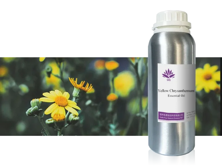 Wild Chrysanthemum Oil main image