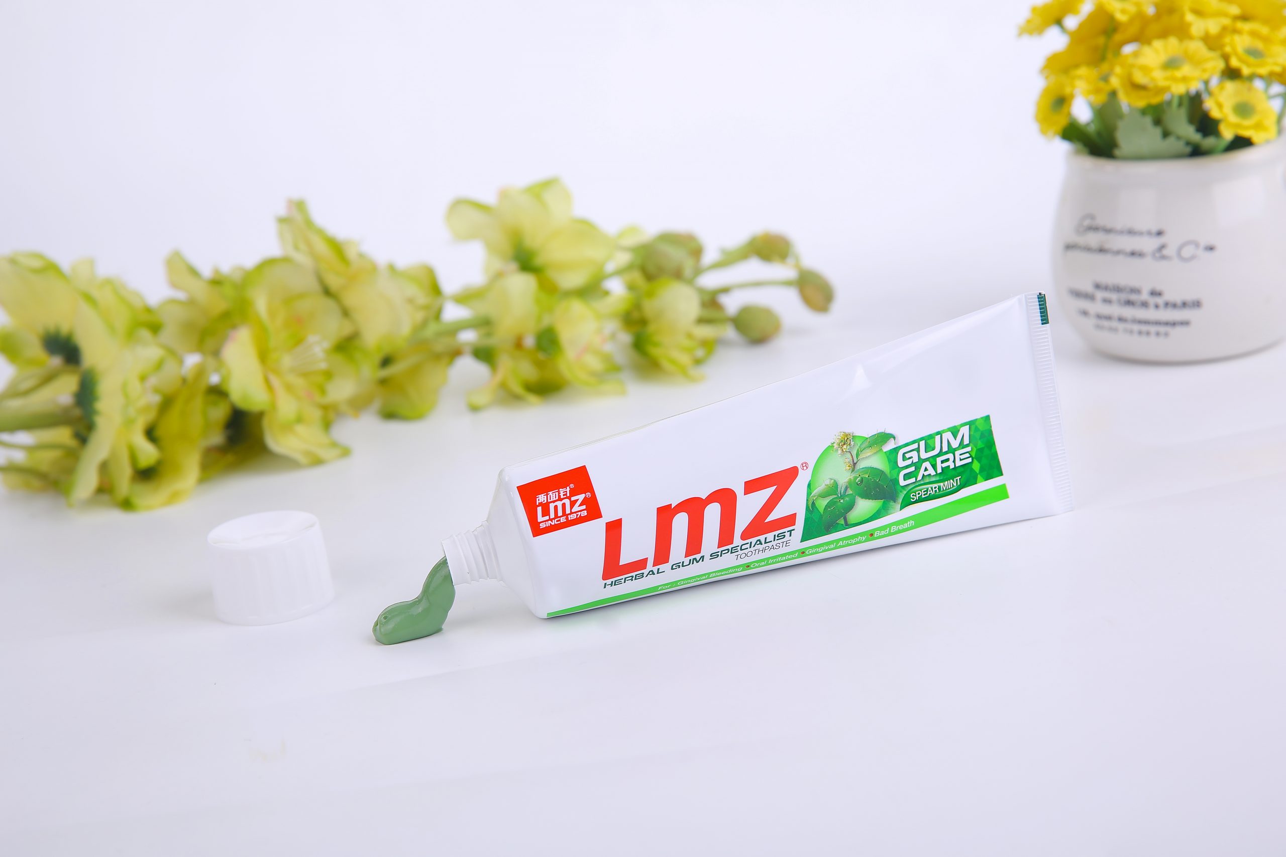 LMZ Gum Care Herbal Toothpaste (Malaysia)