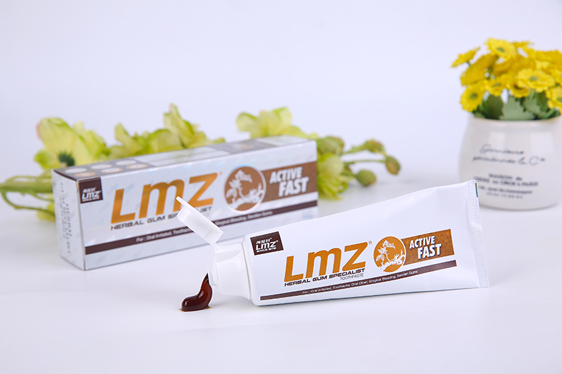 LMZ Active Fast Herbal Toothpaste (Malaysia)