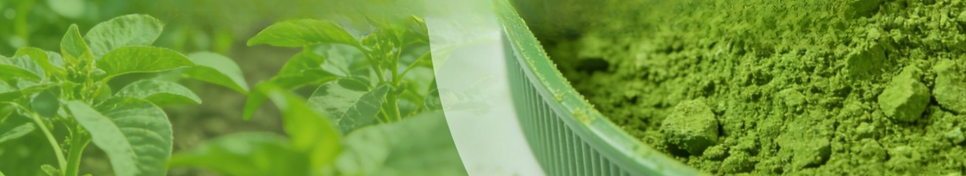 Page Header