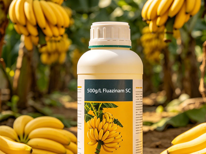 500g/L Fluazinam Suspension Concentrate (SC)